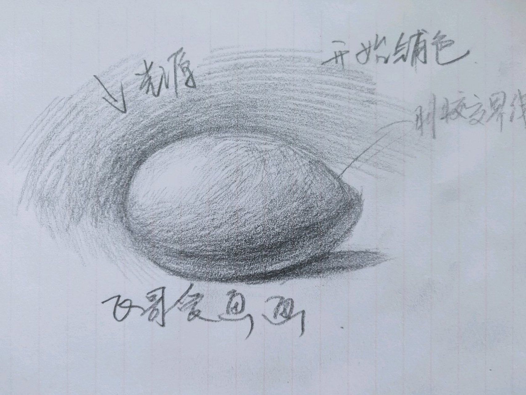 今天画了个素描单体鸡蛋,致敬达芬奇!