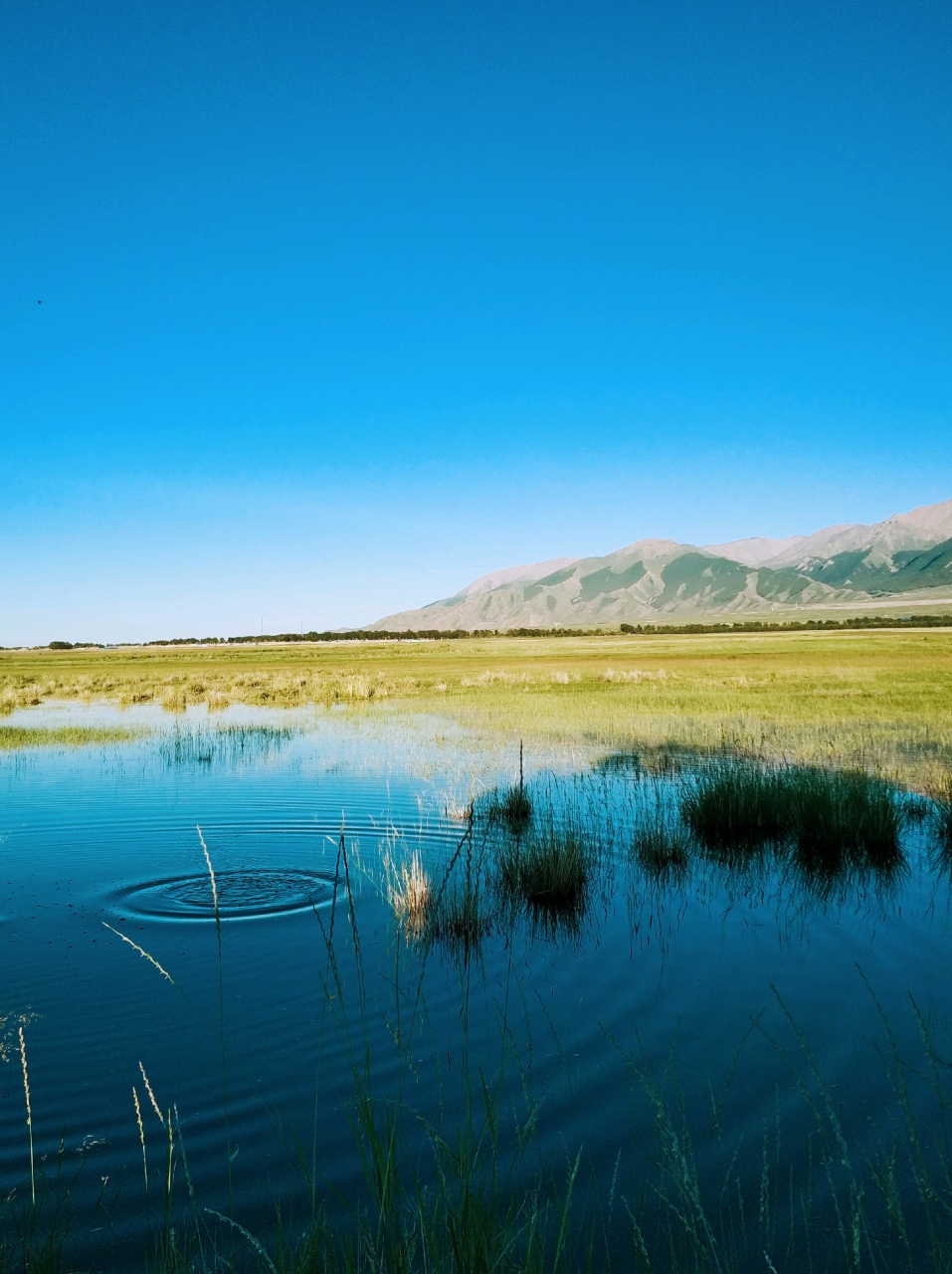 国内文旅# 巴里坤湖是位于新疆哈密的一处小众景点93,人少,精美.