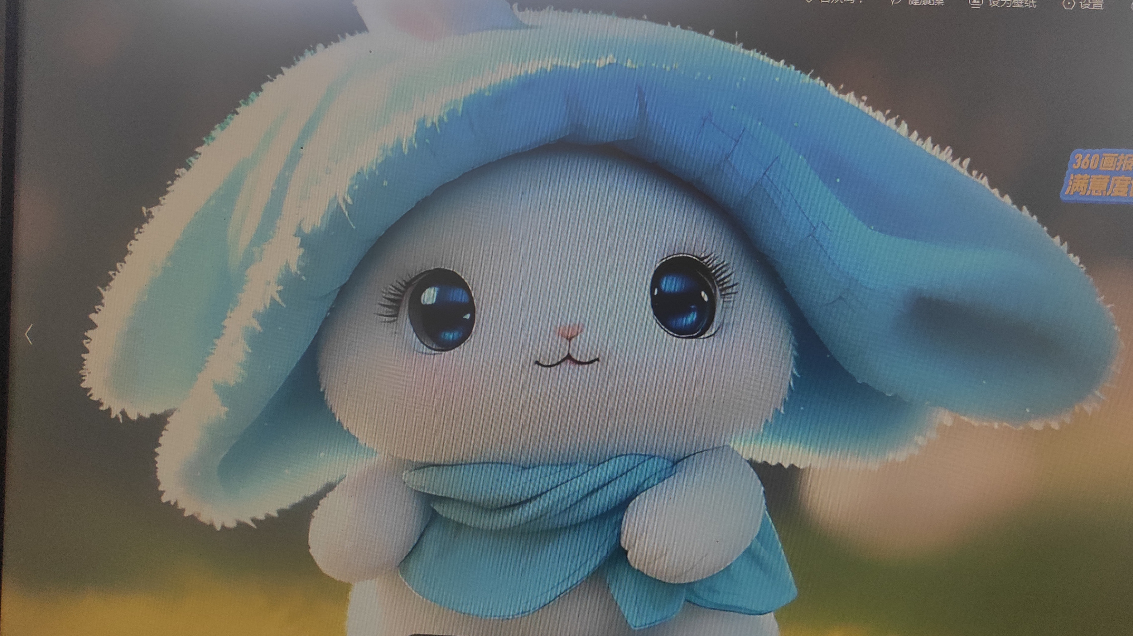 心情不好就看看这个呆萌的小可爱