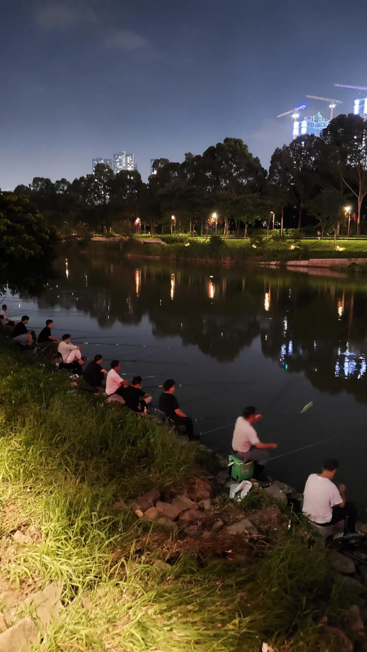 南山区大沙河竟然开放钓鱼了,第一次看见过这么壮观钓鱼大部队.