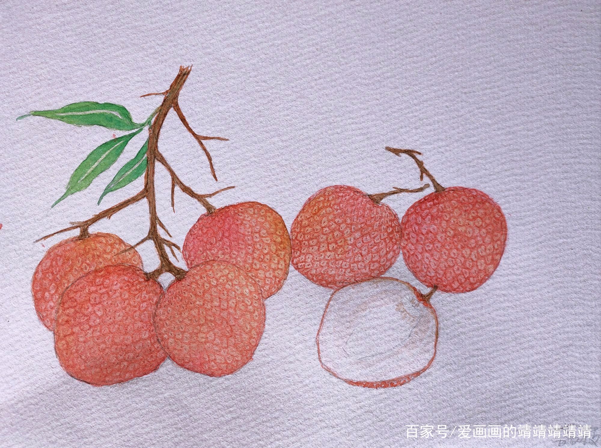 六月是荔枝的味道,水彩手绘练习/荔枝