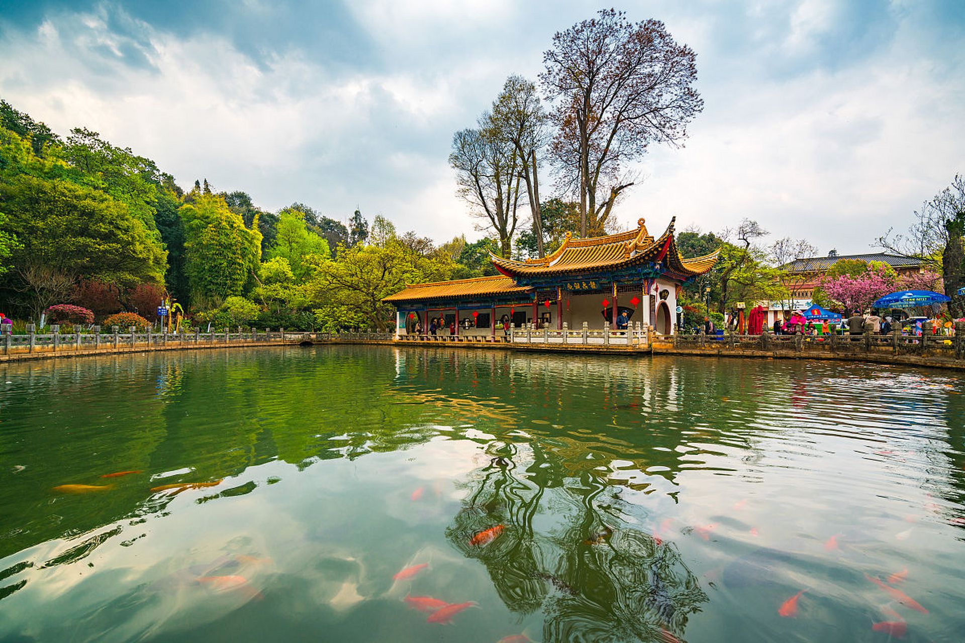 在昆明的黑龙潭公园有一个奇景,两潭泉水相通,呈现出一潭清一潭浑的