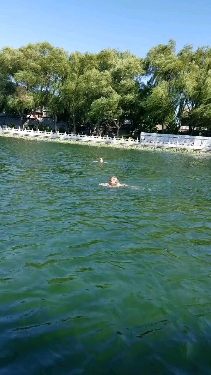 后海游泳的大爷