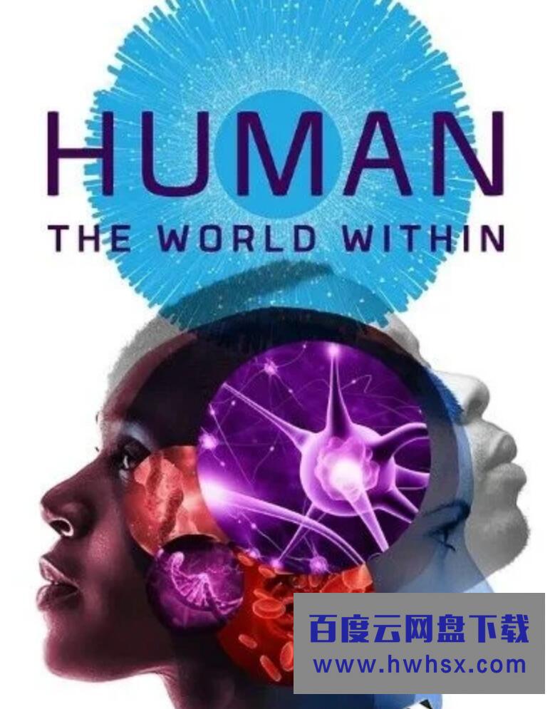 2021科普纪录片《人类：体内的世界》全6集.HD1080P.中字4K|1080P高清百度网盘