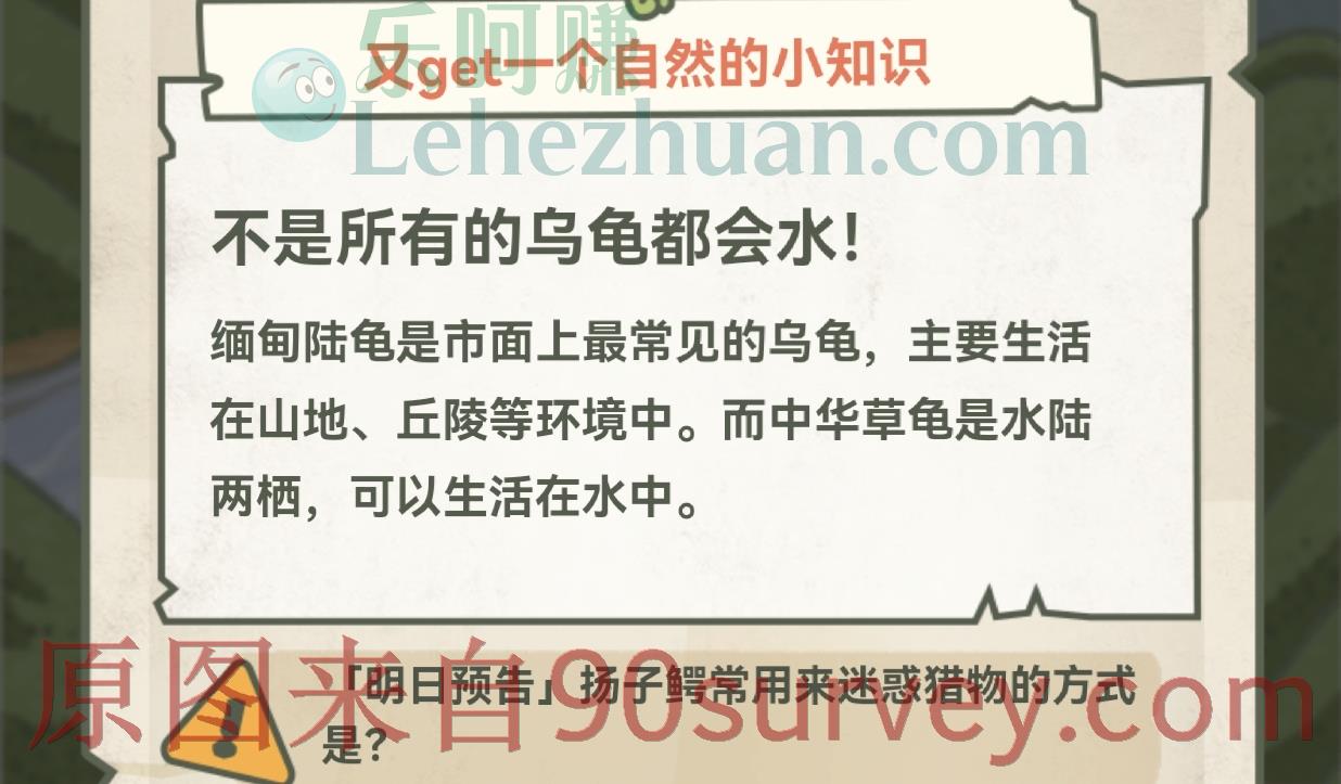 无法在江水里生活的乌龟是？答案：缅甸陆龟