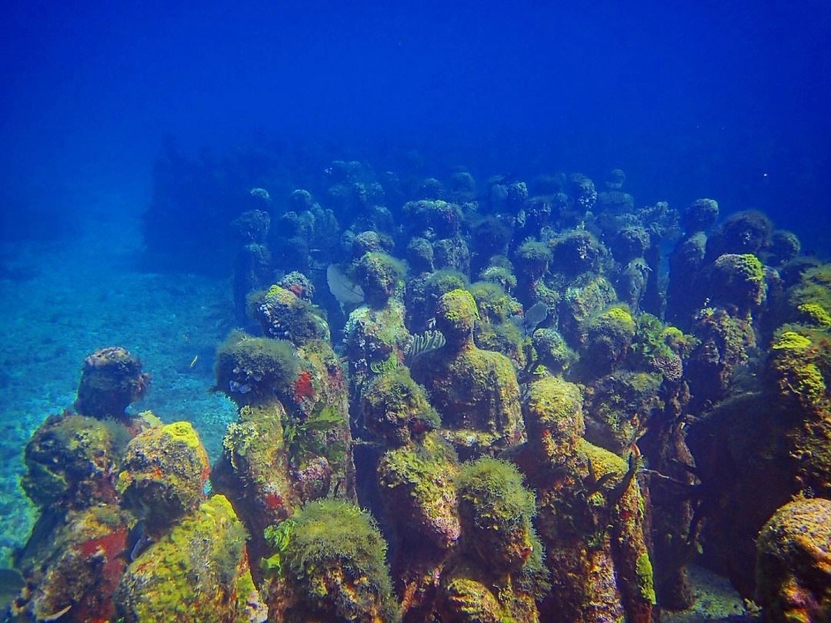 海外文旅# 坎昆水下博物馆(musa)是位于墨西哥坎昆的一个独特的讼下