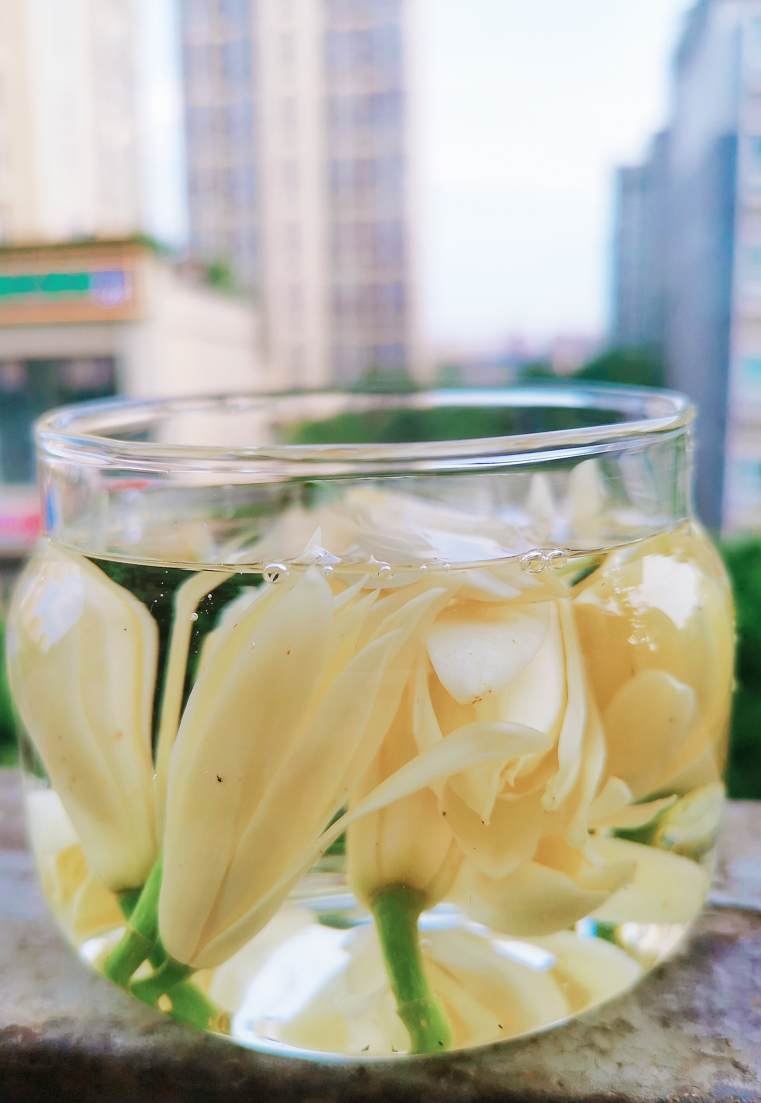 黄角兰泡酒快速止痒蚊虫叮咬