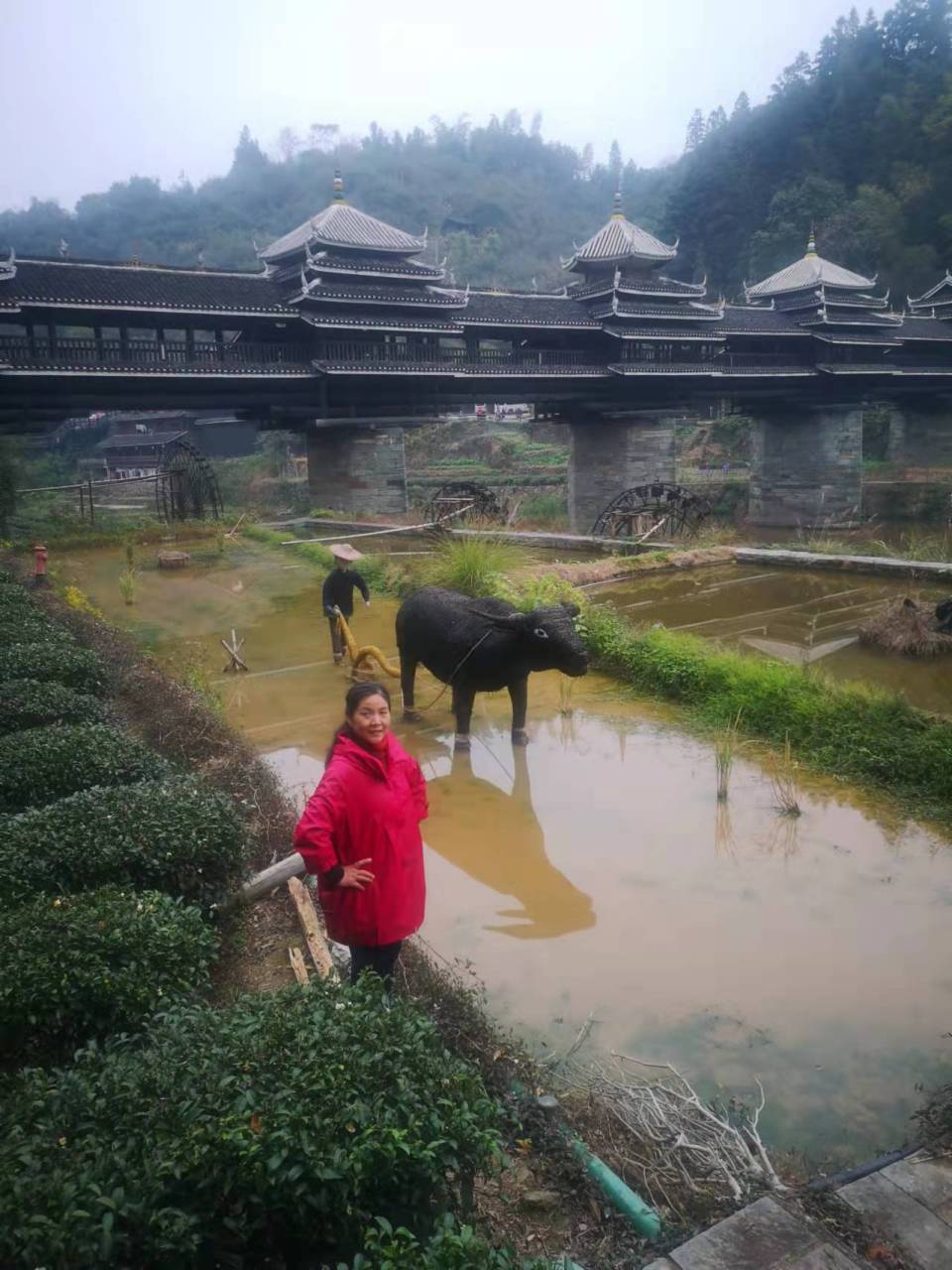 程阳桥图片