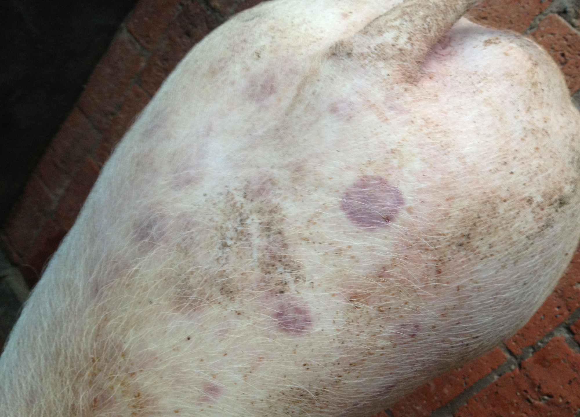 用药- 热门商品专区