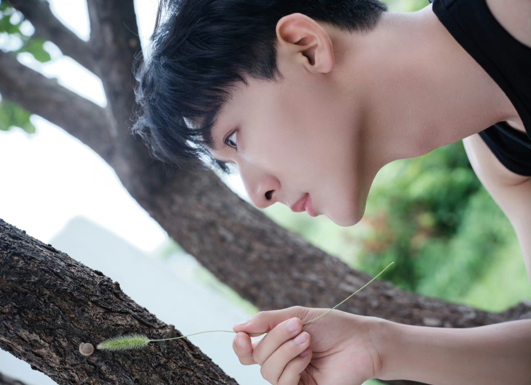 张晚意就像当代小少年一样,骑着自行车在林中捉蜗牛,看他的样子好帅