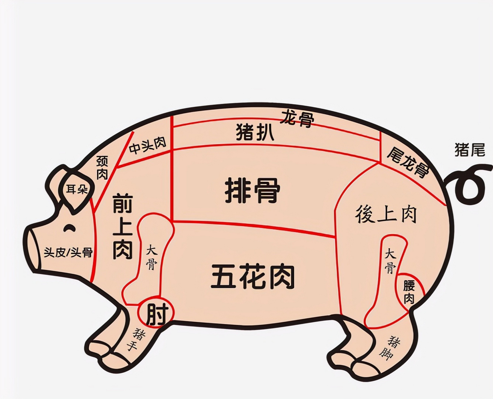 除了内脏外,如下图所示:由龙骨,猪扒,排骨,五花肉,前上肉,后上肉,2根