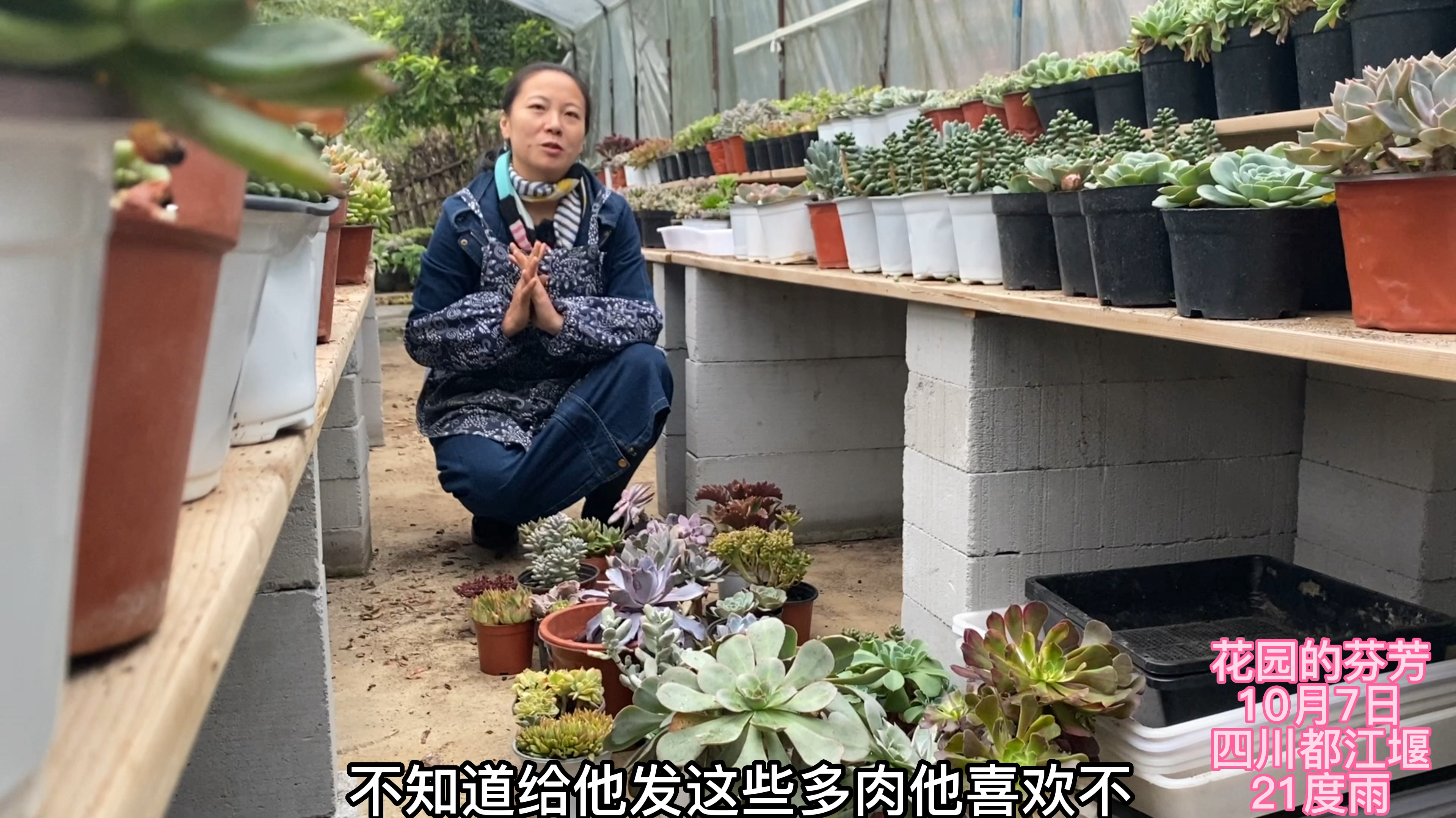 给最爱的粉丝姐姐送多肉了,选30盆好养的,你们有推荐吗?