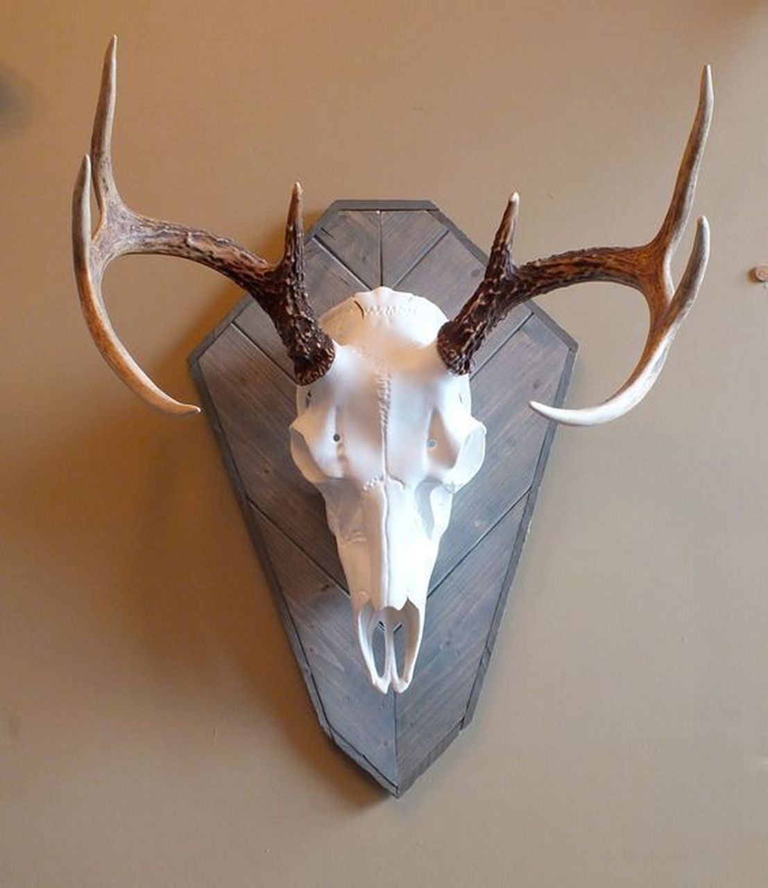 绘画参考 犄角素材 676767 #插画