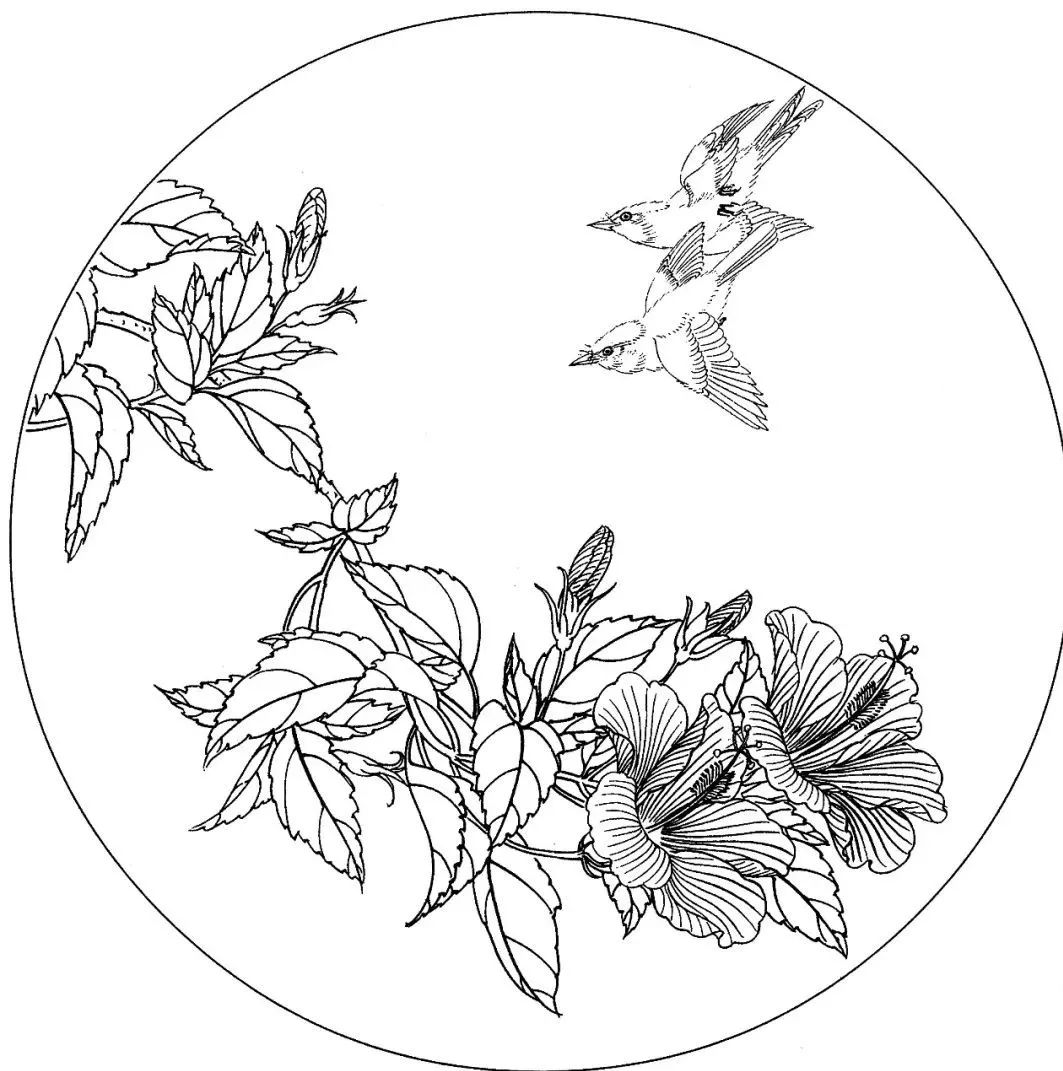 工笔花鸟白描素材