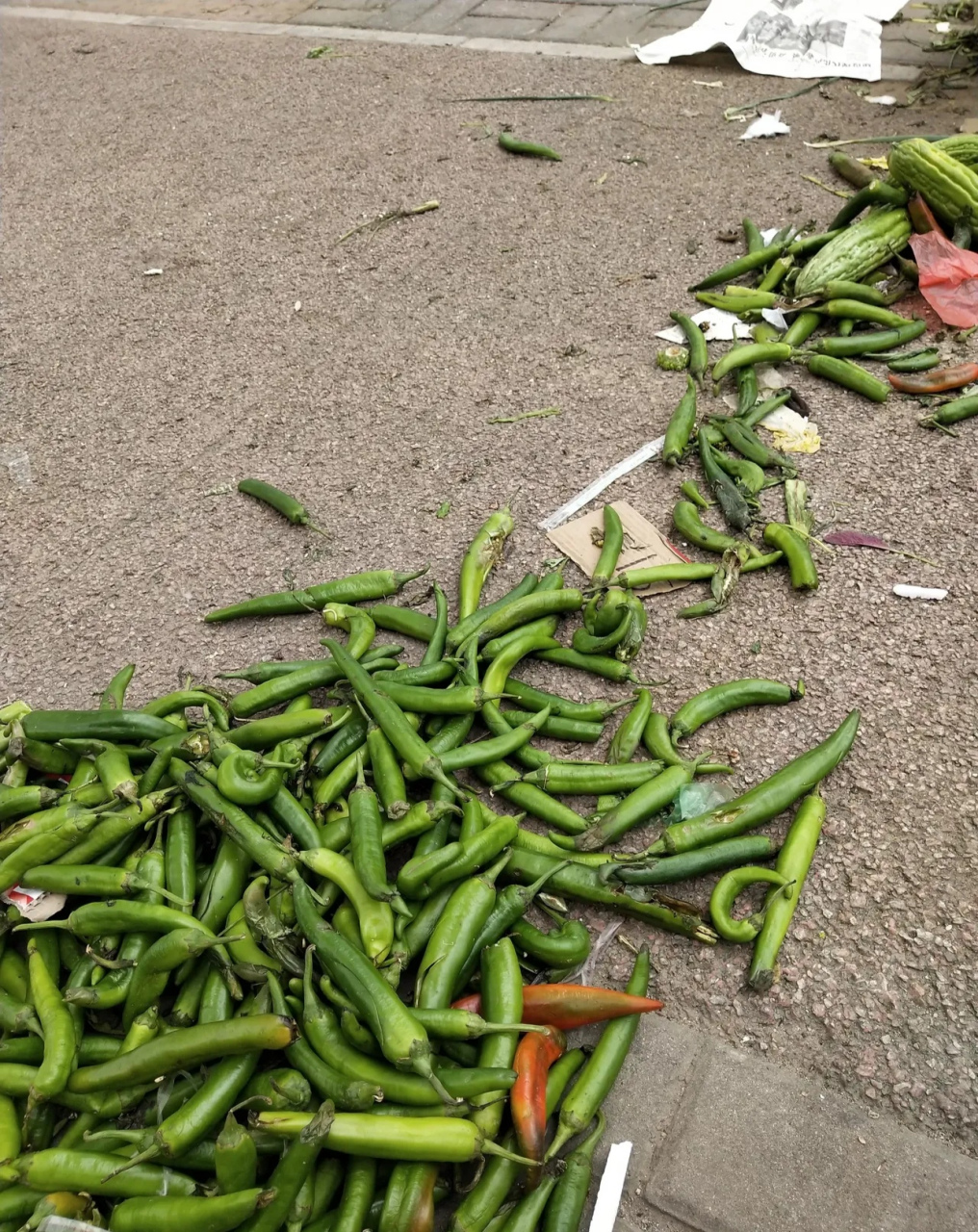 以前我去菜市场捡菜,我都是拿回家喂兔子,喂鸡,今天我捡菜,是为了喂我
