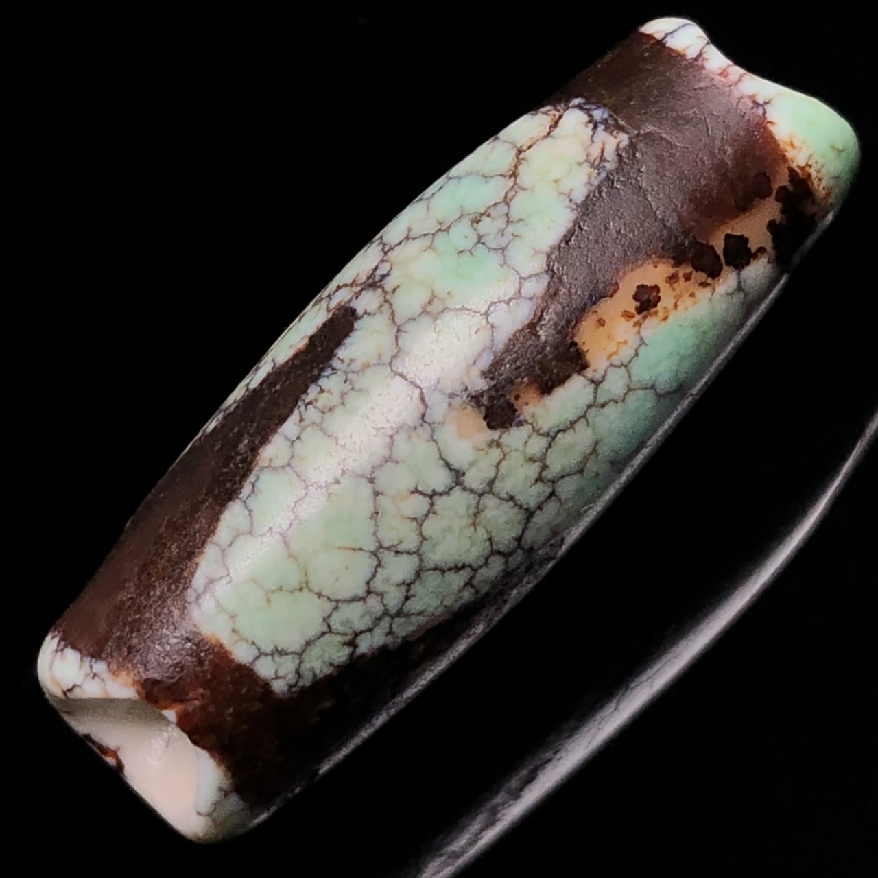 藏区回流老料高油包浆开片【虎牙天珠】 尺寸约:33*12毫米 重量6.