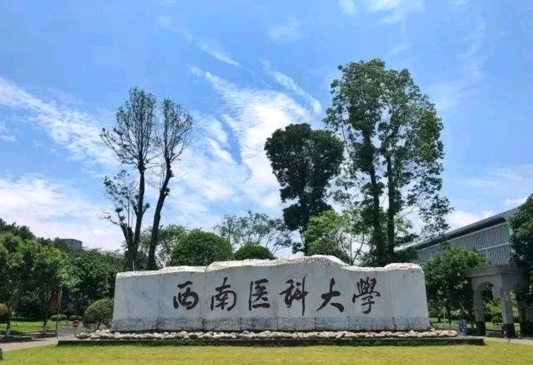 泸州为什么改名