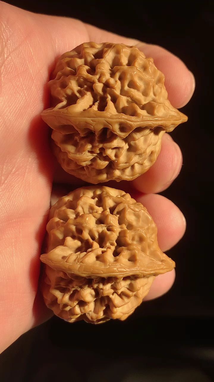 《秦闷狮子头》 福利款 尺寸 边36 肚36 高36 自然灯下拍摄-度小视