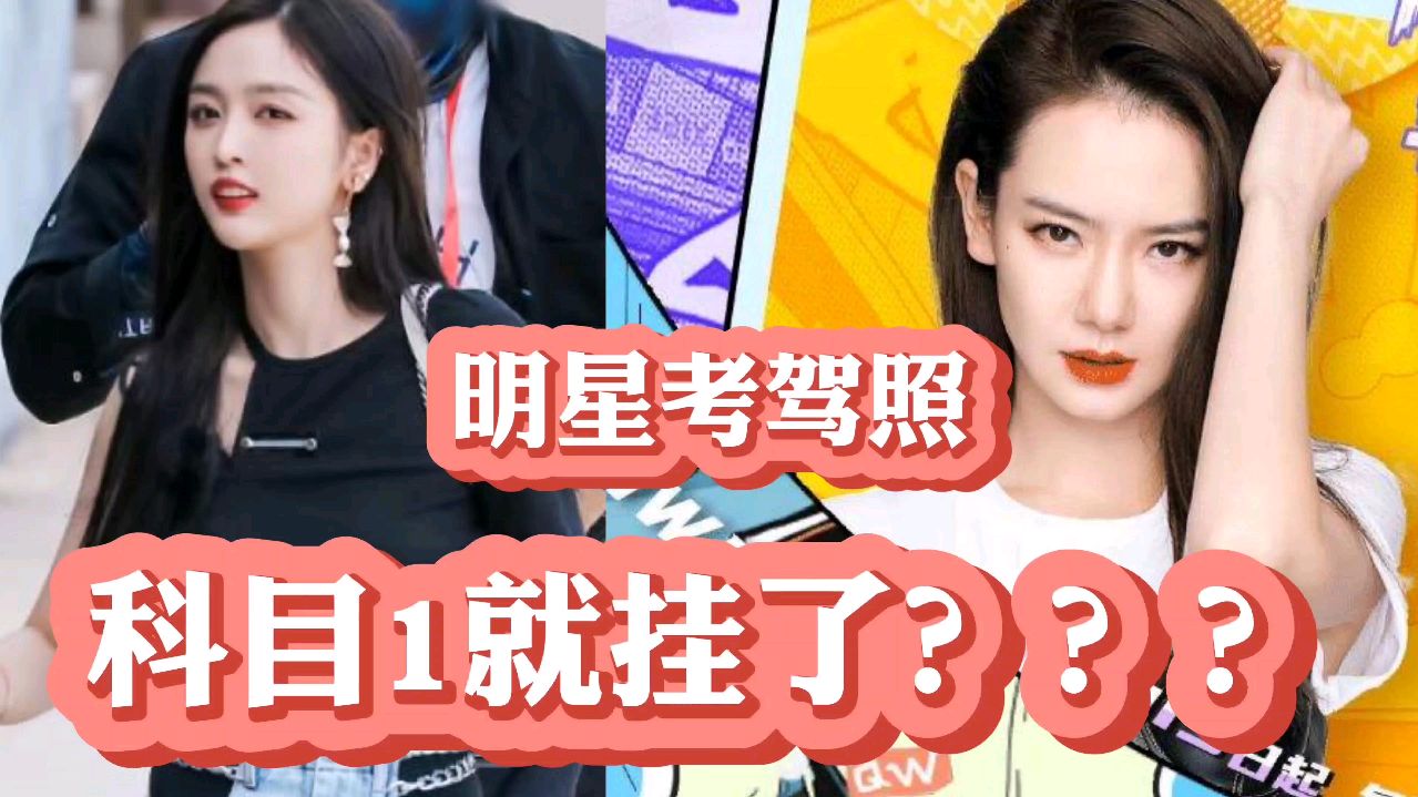 戚薇等7位明星考驾照,3位科目一就挂了,是不用心?还是学不会?