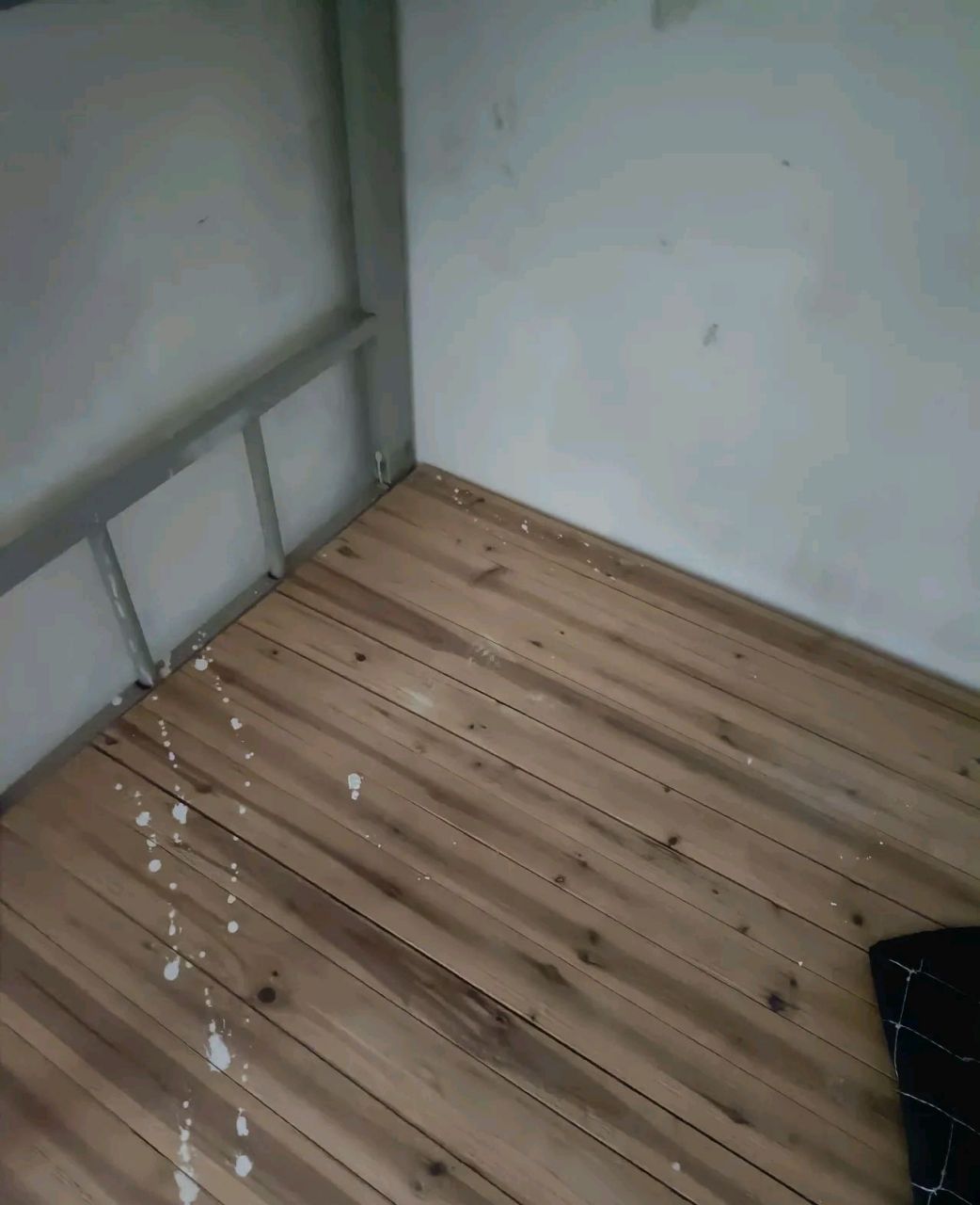 住2个多月宿舍有臭虫我一点不知道.最近这几天老是睡不好.