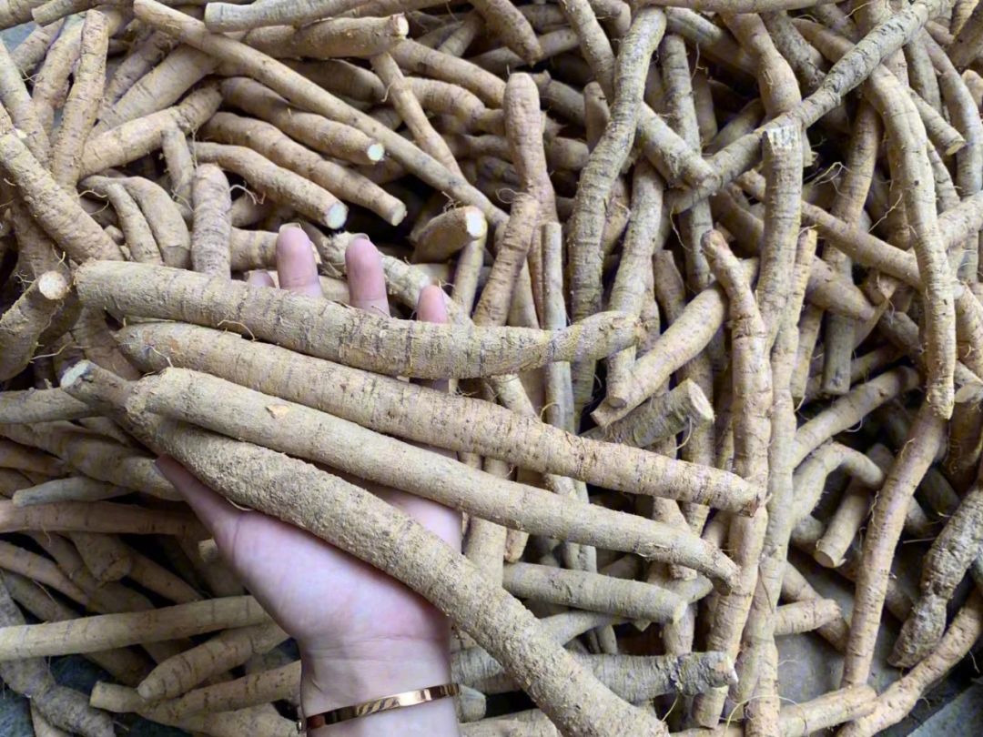 牛大力泡酒的功效与作用