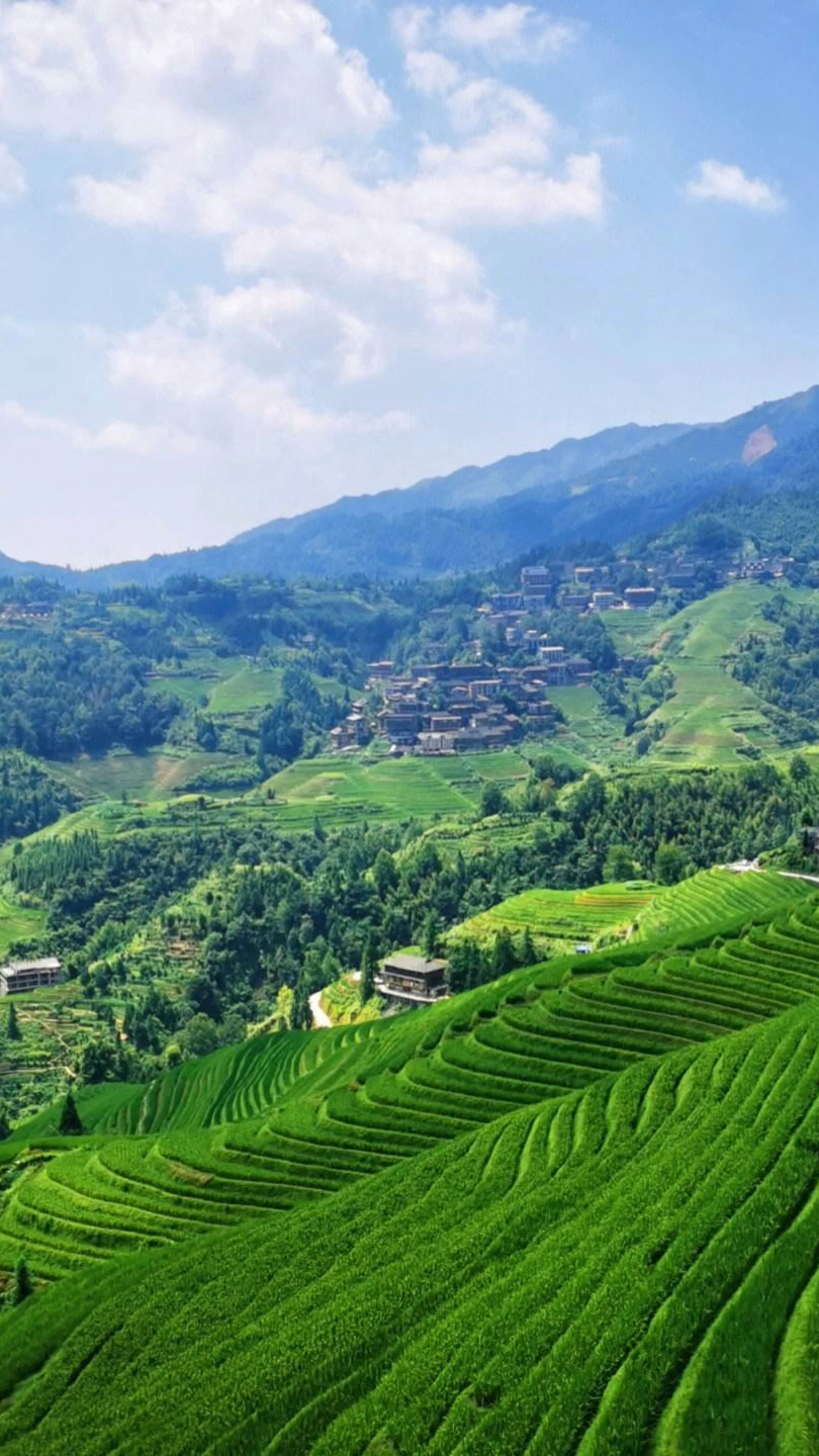 龙脊梯田风景图片高清图片