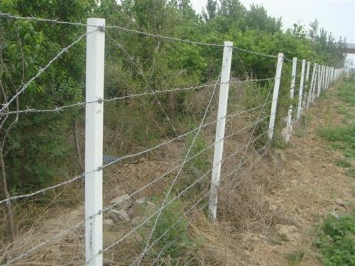 刺绳护栏网围栏网隔离栅隔离网防护网厂家安平