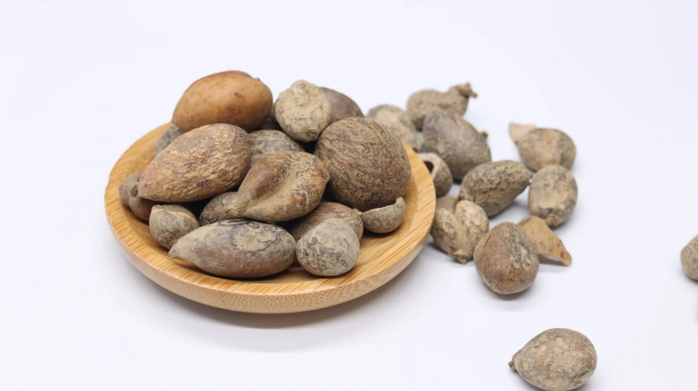 最早中医认为五倍子虽然结在盐肤木上,但其实只是生长在盐肤木树冠上