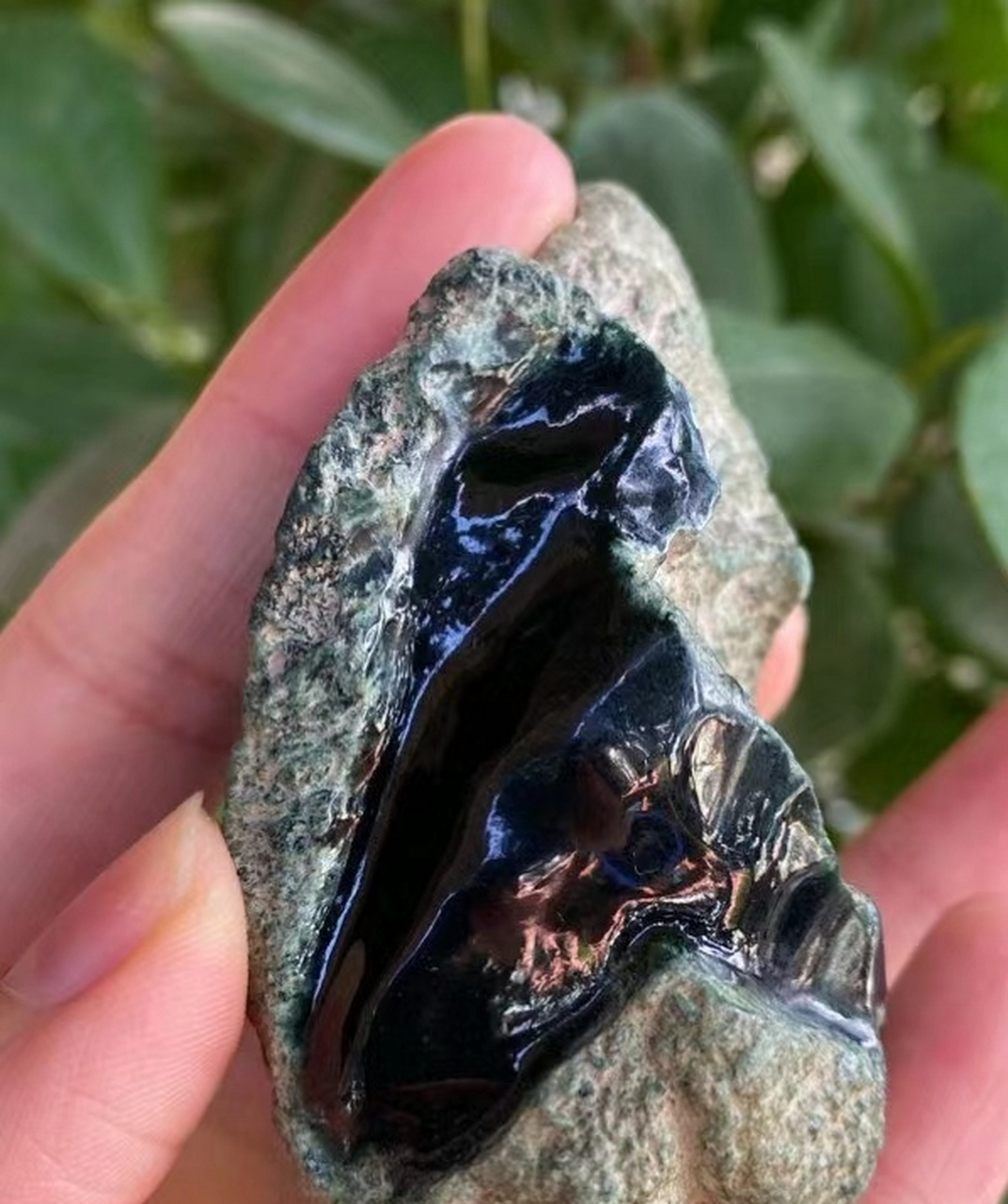 点击头像看直播# 这是一款莫西沙墨翠,收藏级别,大面积开窗,底子相当