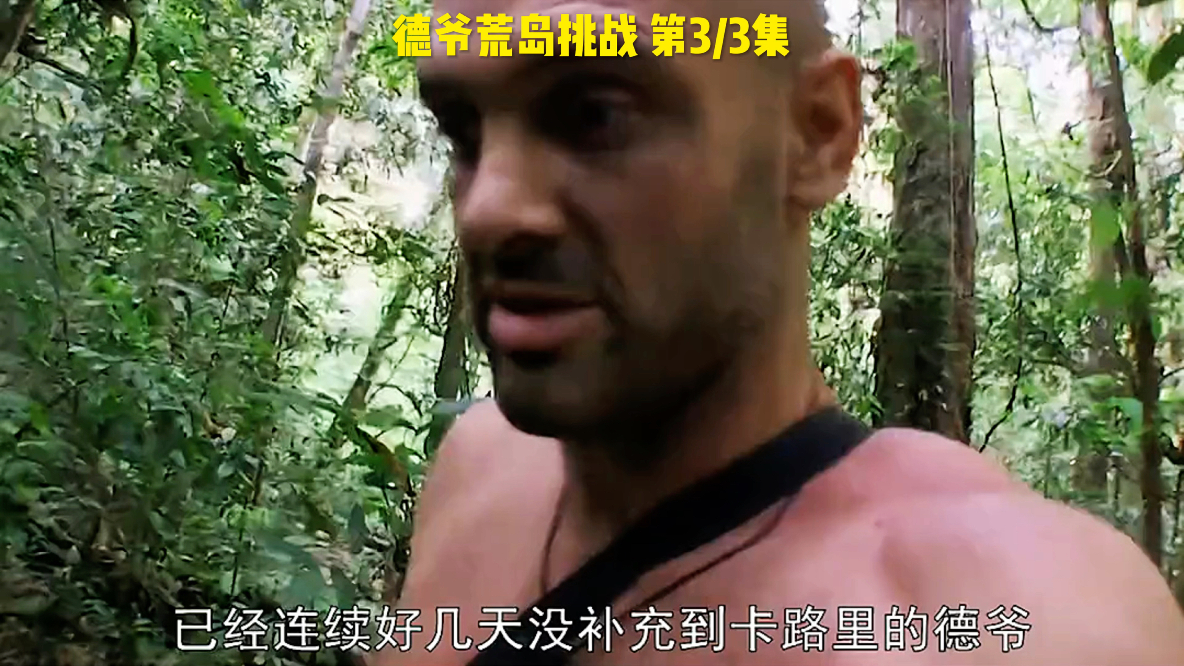 第3集|经验丰富的德爷,依靠捕鱼陷阱吃上了小虾串,美滋滋