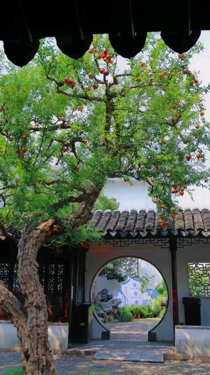 可羡瑶池碧桃树,碧桃红颊一千年.