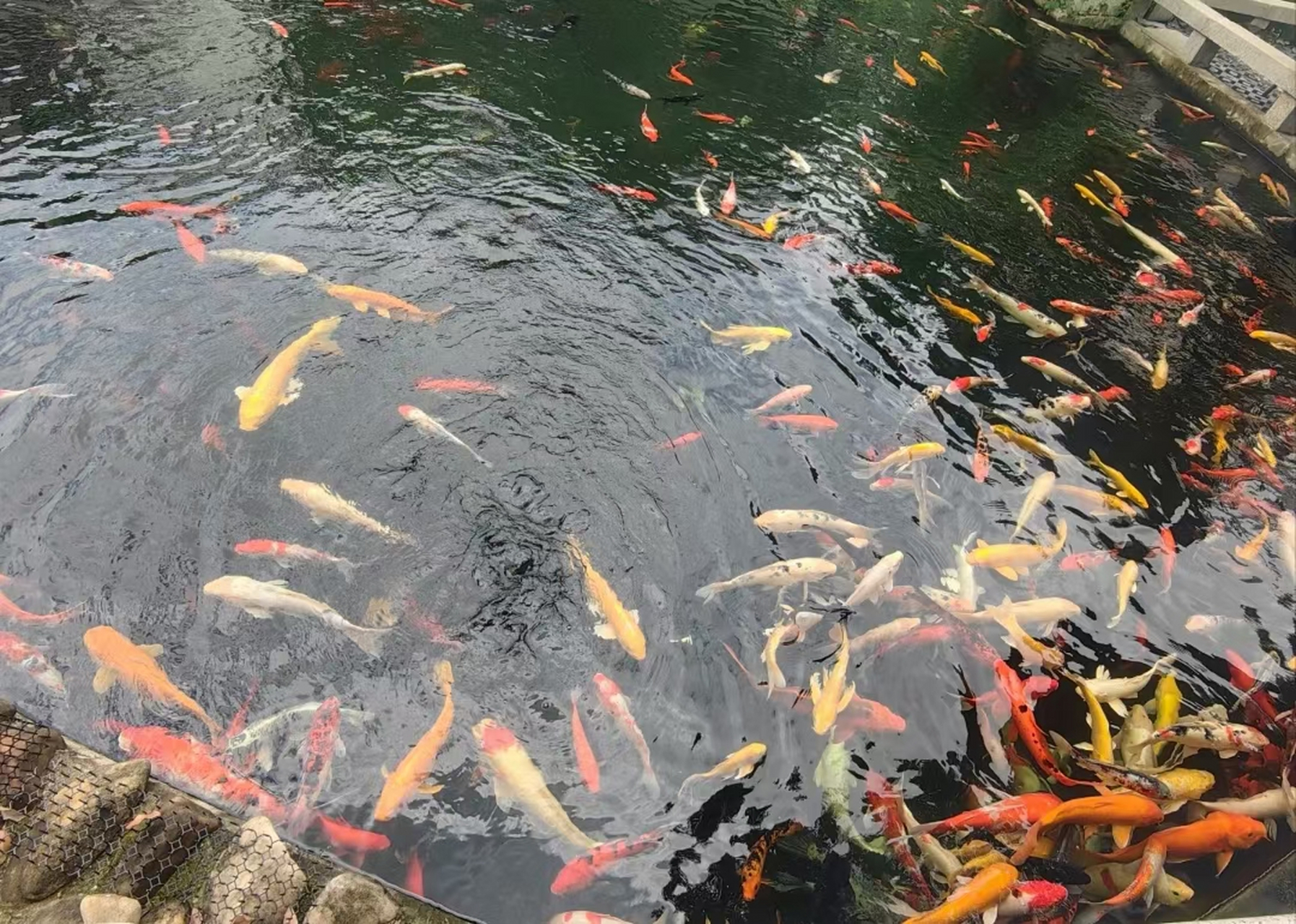 每層塔廊壁上都是觀音像;七寶塔,全名叫做七寶琉璃玲瓏塔.