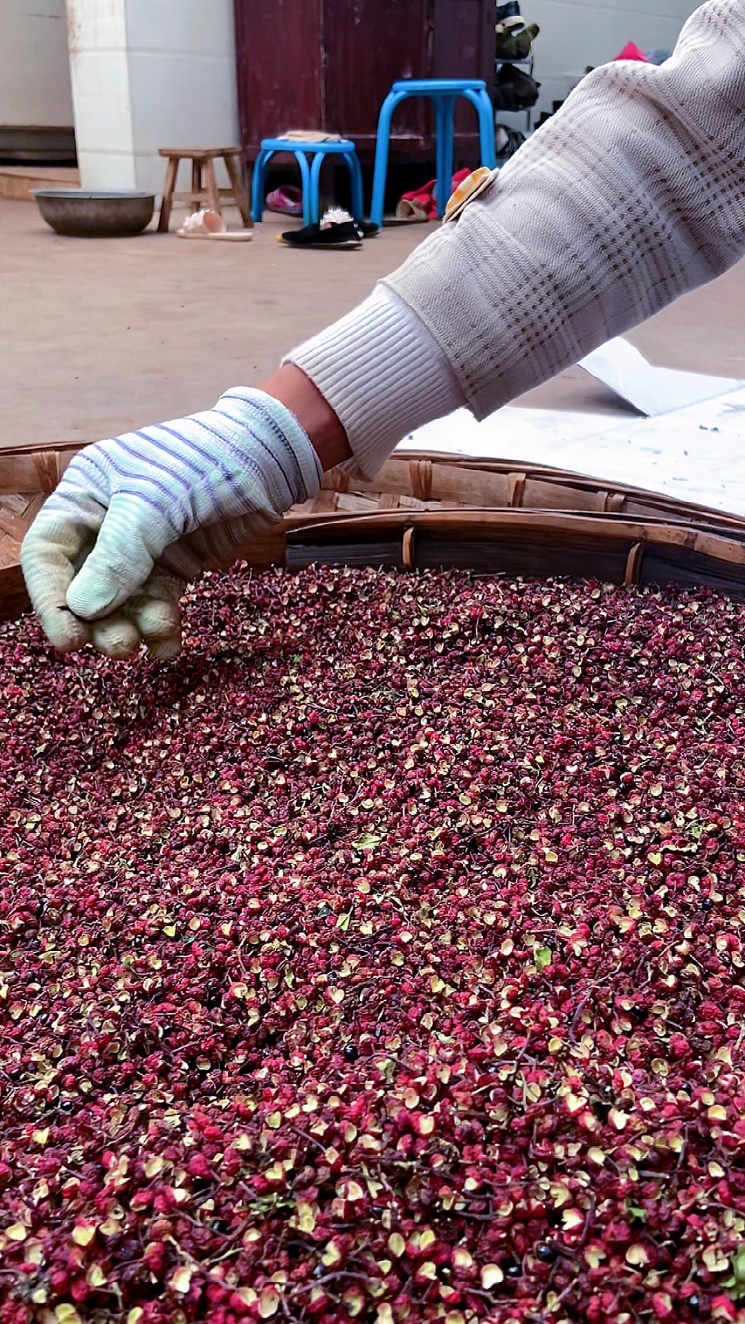 花椒清理筛净大凉山盐源花椒