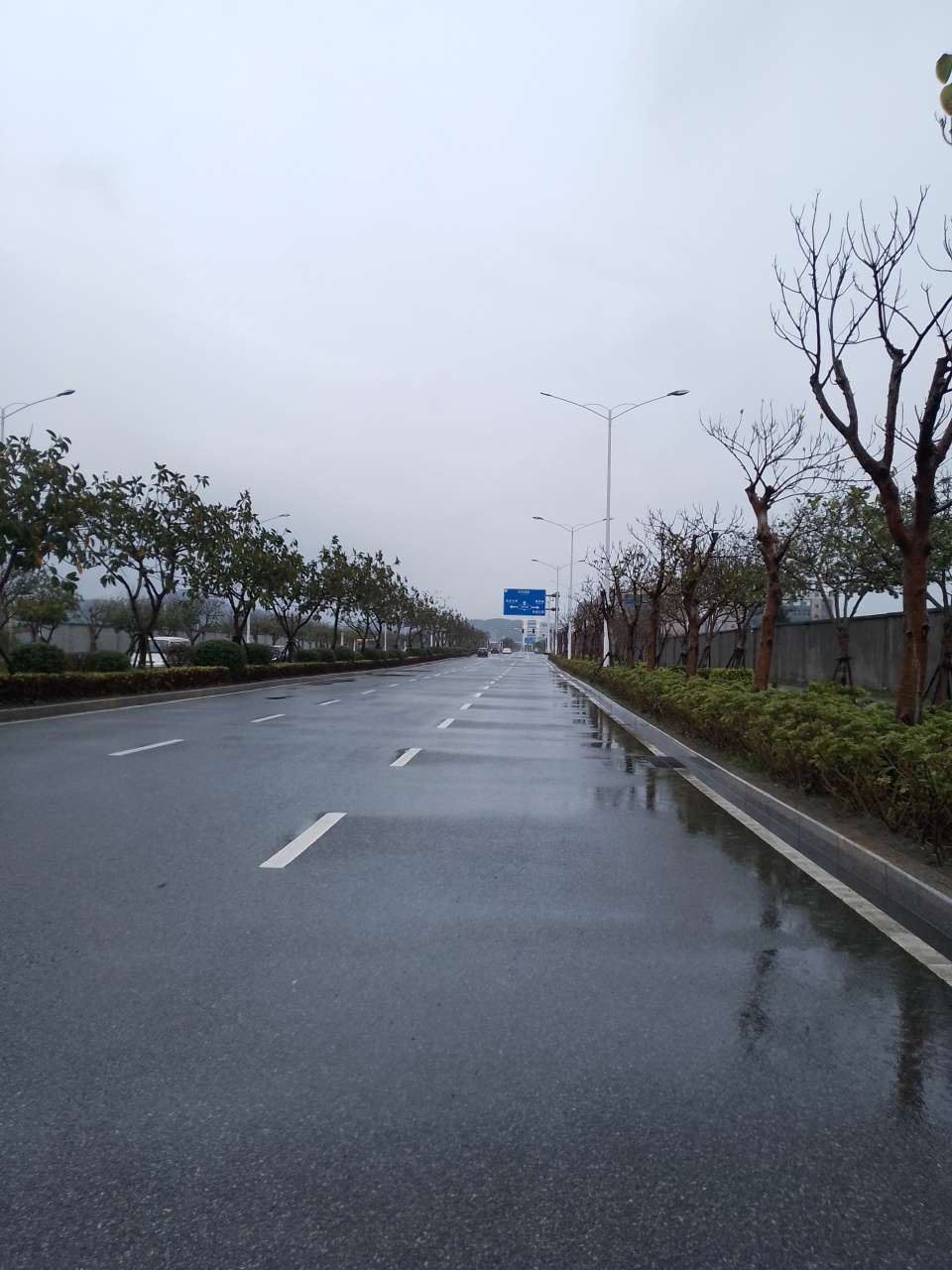 小雨转大雨图片