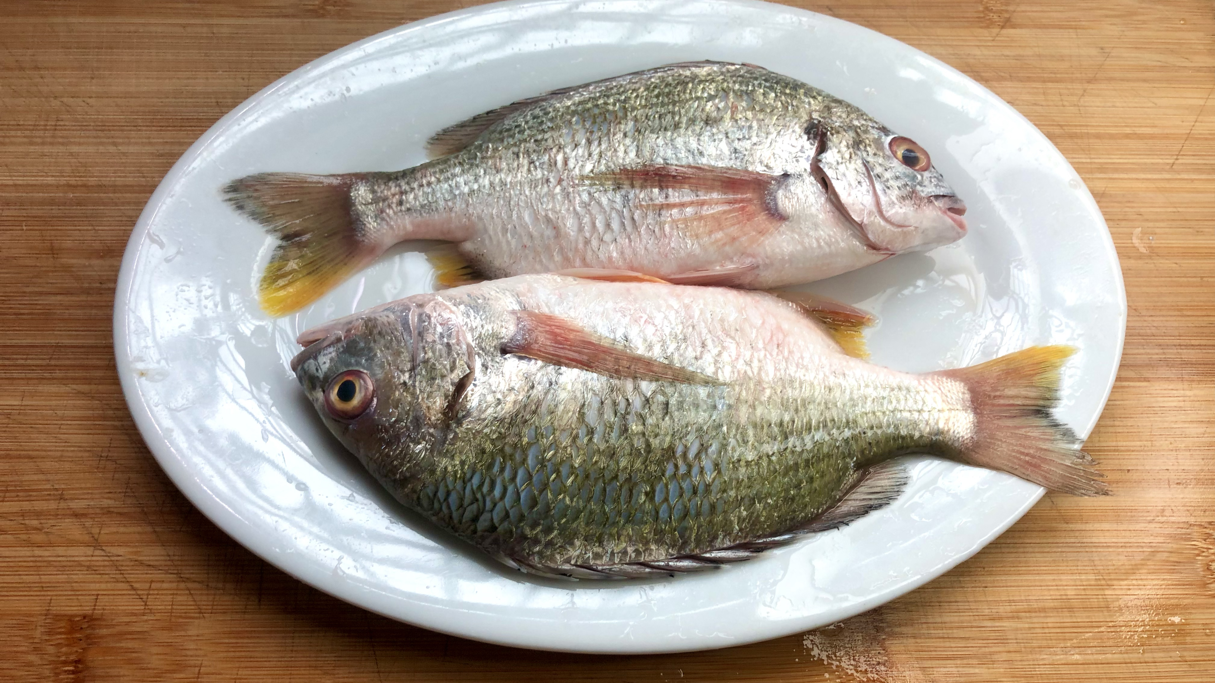 海鱼里面天花板:黄脚立鱼,渔民教你朴素做法,鲜嫩不腥