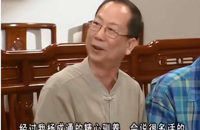 《外来媳妇本地郎》:周晓滨饰演的新阿宗,为何得不到观众认可?