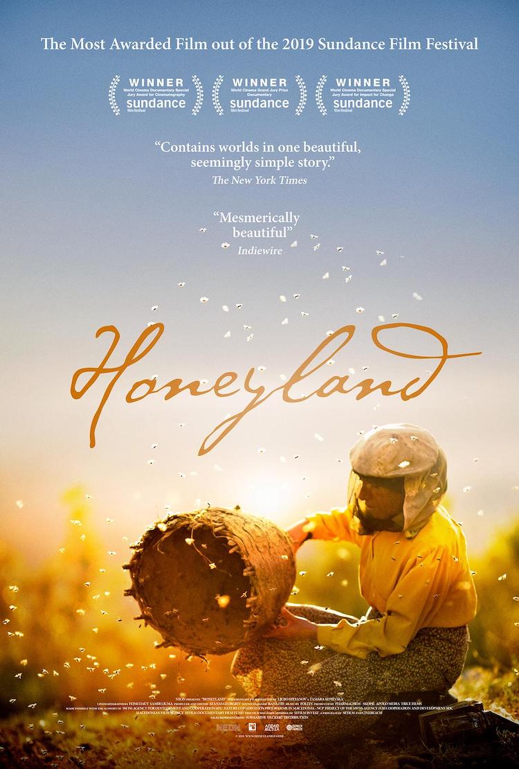 《蜂蜜之地》纪录片电影颖评：迷人的养蜂智慧