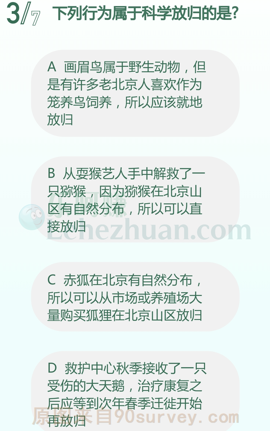 治疗康复之后的大天鹅应等到次年春季迁徙开始再放归 治疗康复之后的大天鹅应等到次年春季迁徙开始再放归