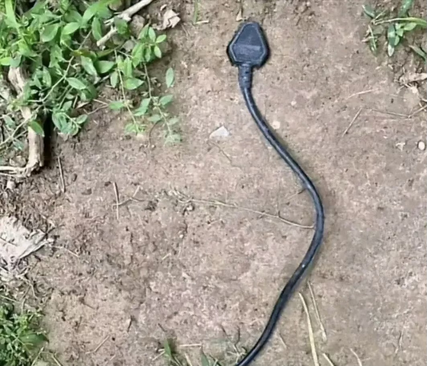 这就是普通的插头吧!老铁们