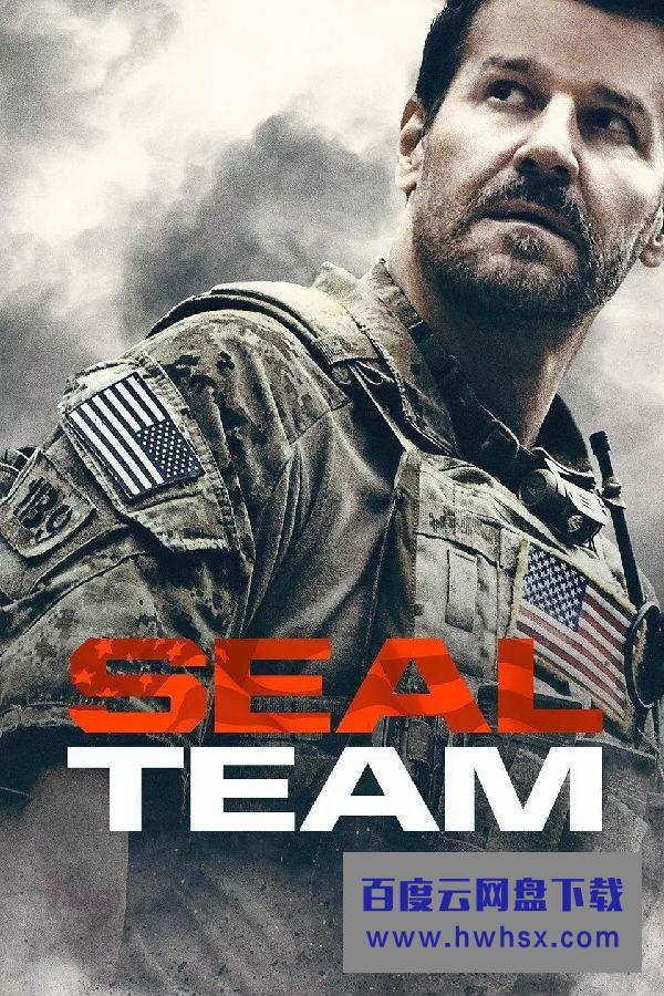 [海豹突击队 Seal Team 第二季][全22集]4k|1080p高清百度网盘