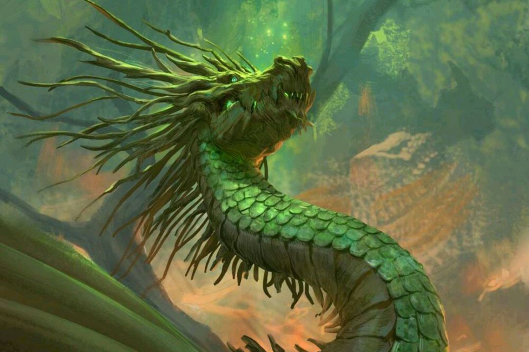 蛇为什么被人们称为小龙,蛇和龙之间又有着什么样的关系