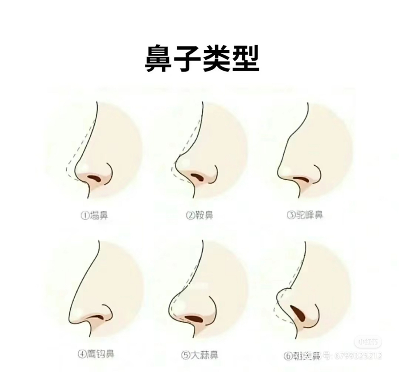你属于哪一种鼻型