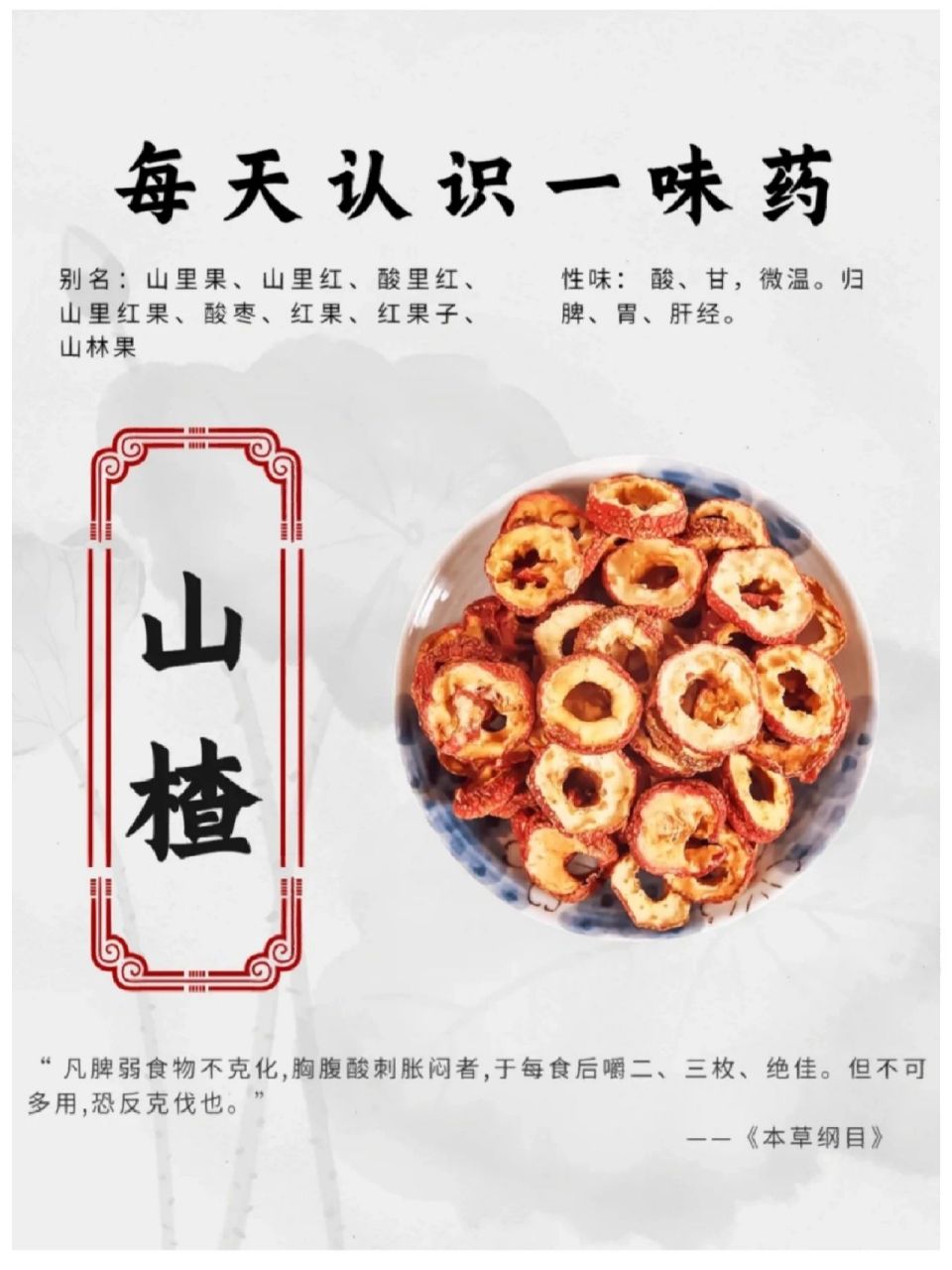 山楂 功效:消食健胃,行气散瘀,化浊降脂.