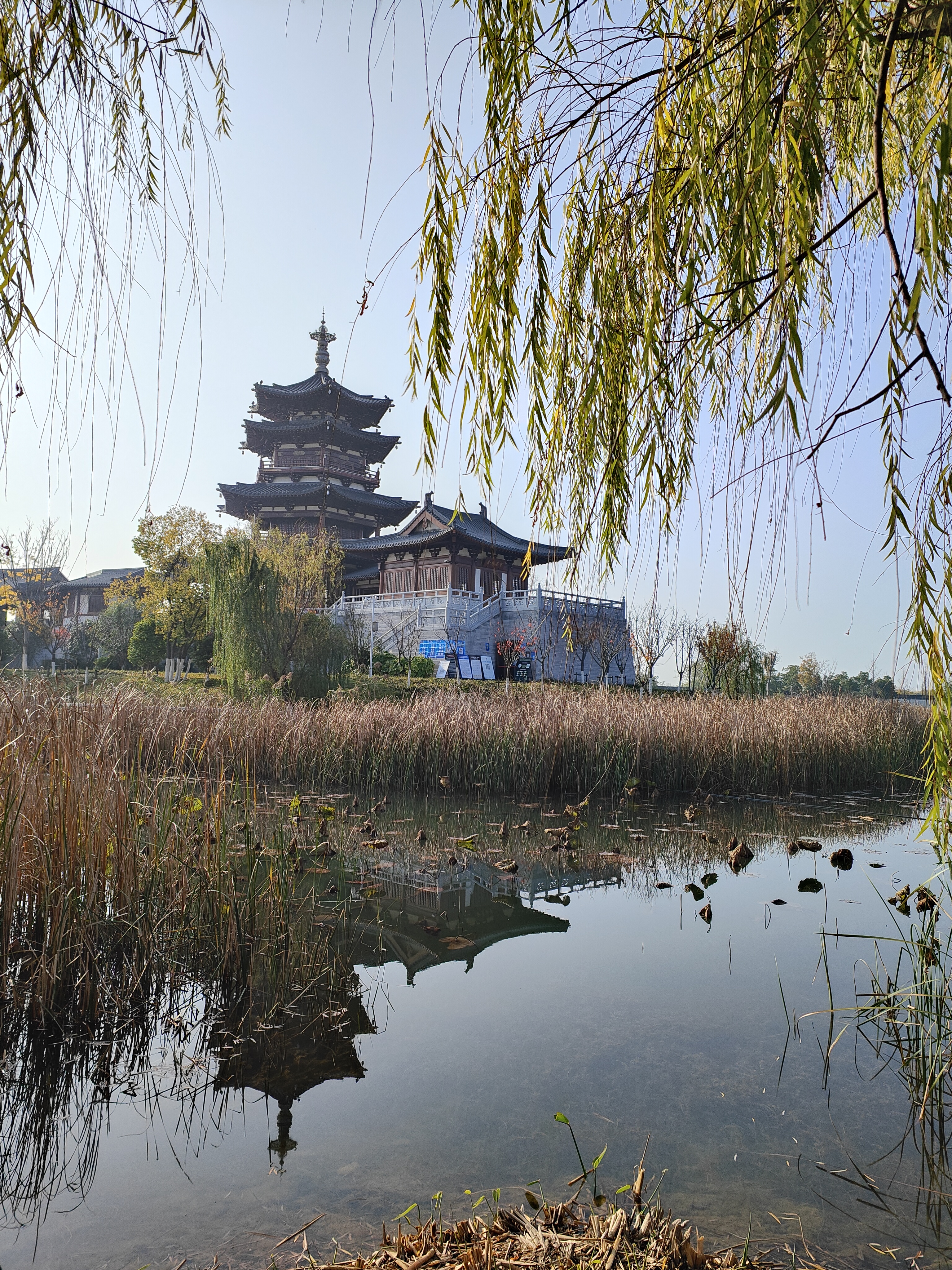 汤山温泉公园图片