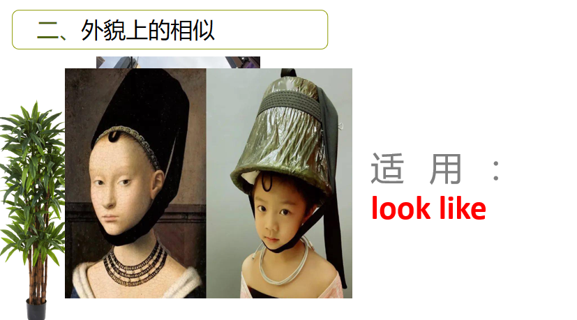 take after和look like的区别,从行为,外貌和血缘关系可以区分