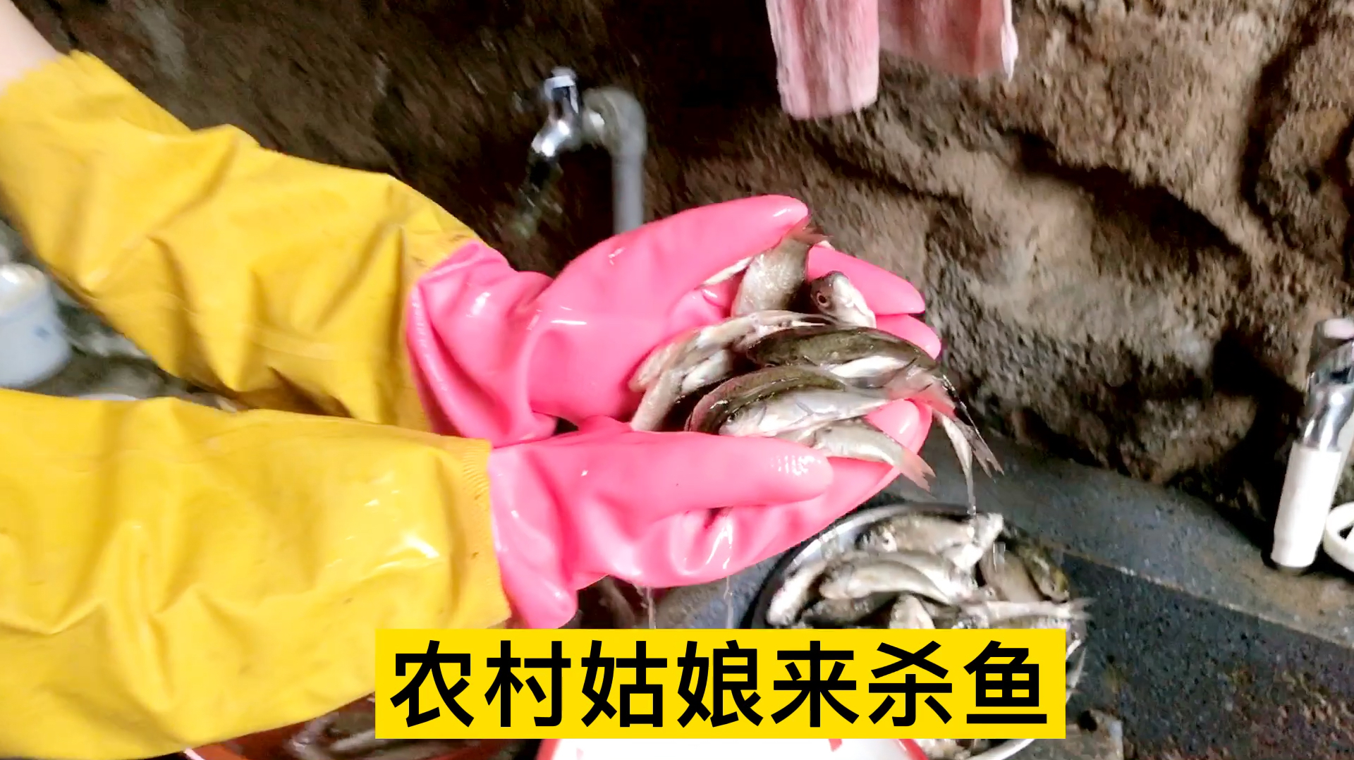 农村姑娘第一次杀鱼,还研究了一个杀鱼新方法