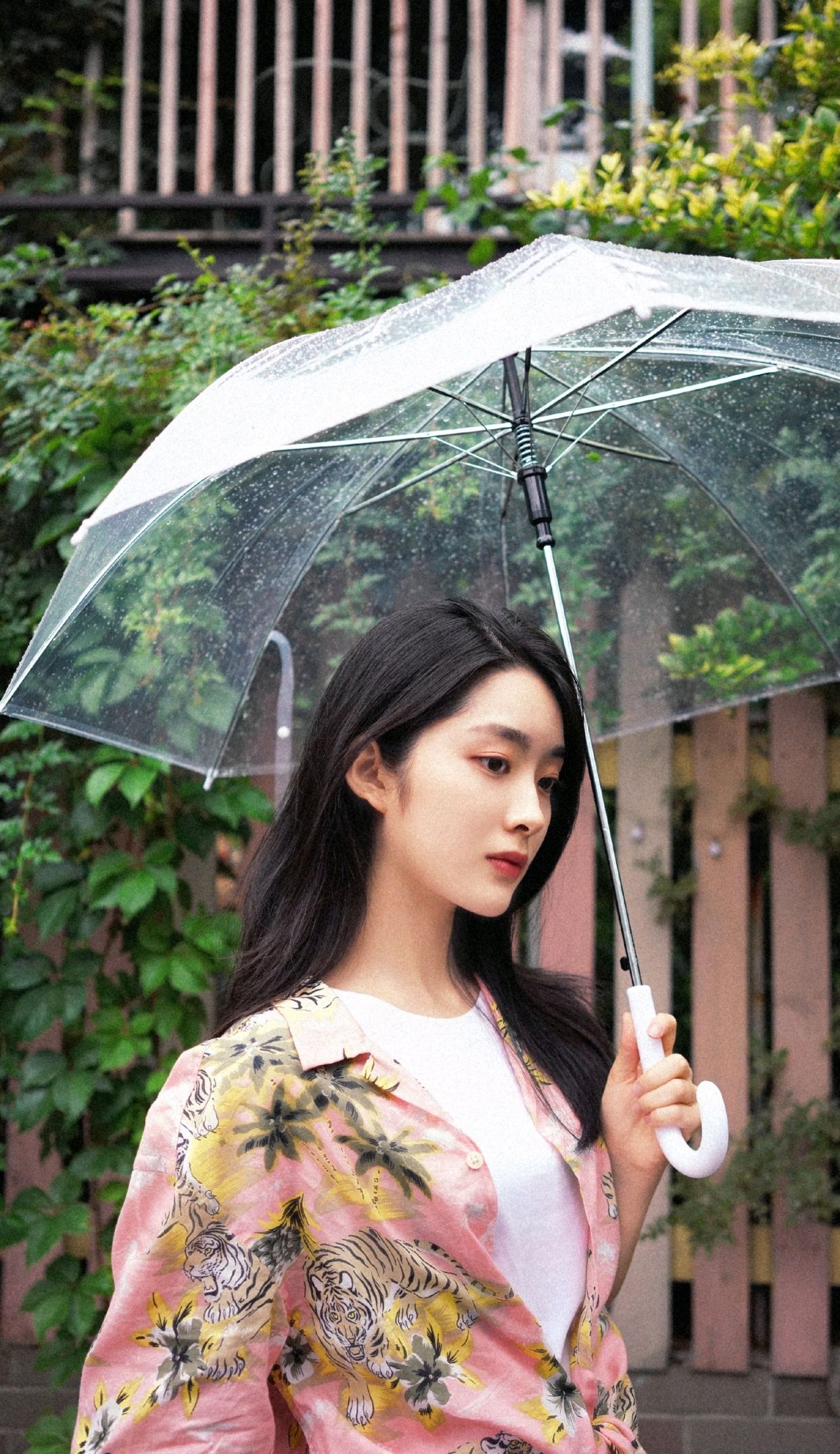 明星美图|吴曼思