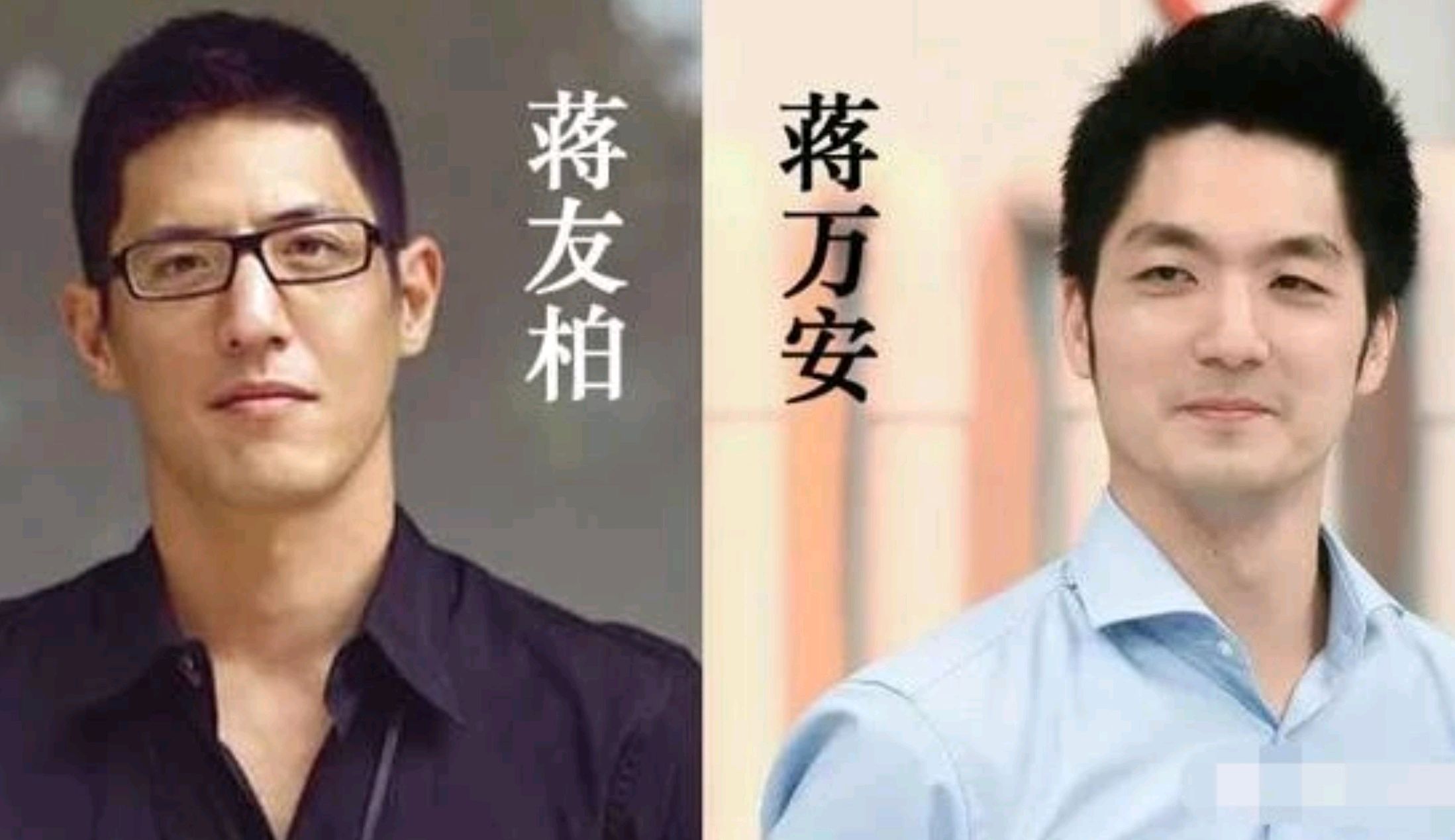 蒋万安和蒋友柏是蒋家后人中名气最大的两位,他们关系咋样呢?