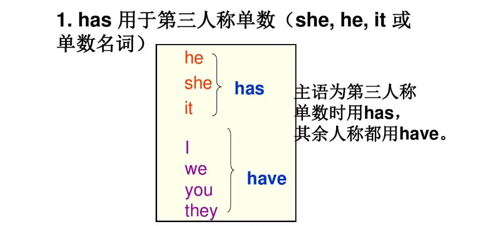 has和have的用法口诀