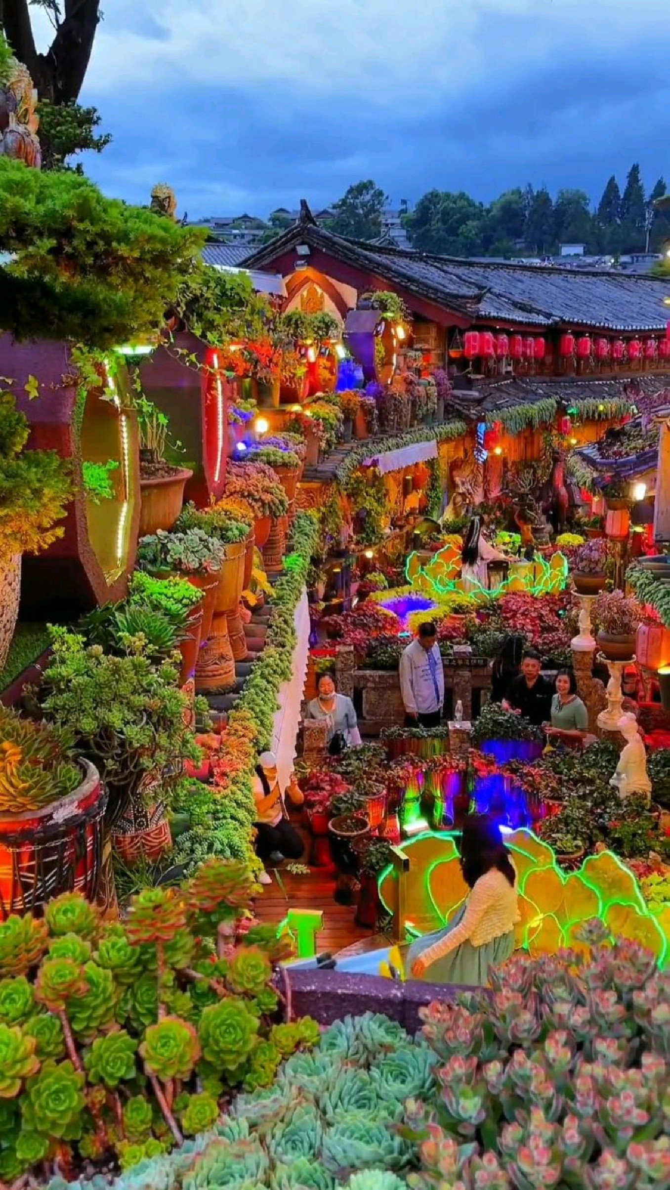 想去的地方,丽江古城网红街.